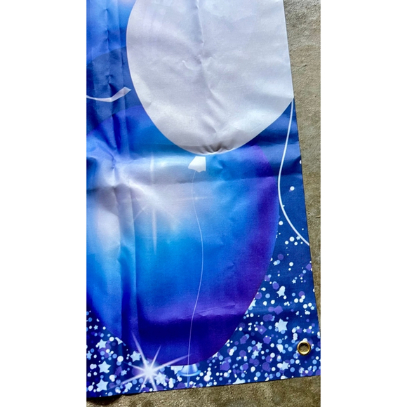 13 YEAR OLD BIRTHDAY BANNER - Picture 8 of 8